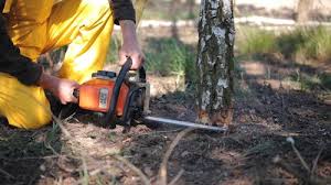 Soil Testing and Treatment in Falls City, NE